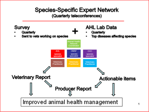 Species-specific Expert Network