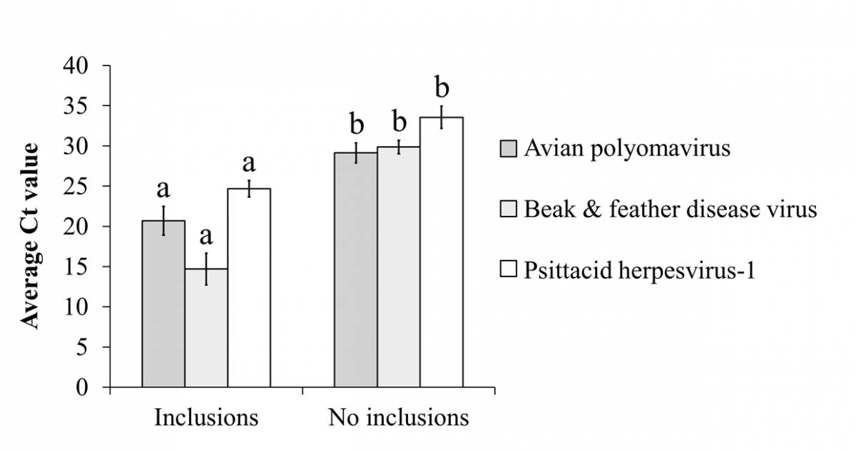 Figure 2. Average Ct values of samples from birds with and without viral inclusion bodies in psittacine birds diagnosed with viral infection by rtPCR (n = 61). For each virus, different letters indicate significant differences using 2-tailed t-tests.