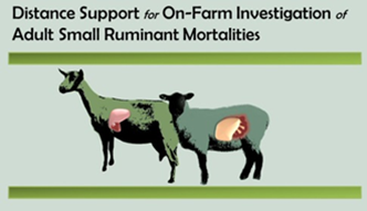 icon for distance support for on-farm investigation of adult small ruminant mortalities