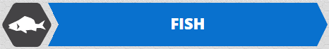 fish  icon-tab