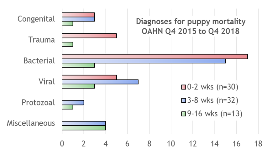 Figure 1. Common causes of puppy mortality diagnosed at the AHL, 2015-2018.