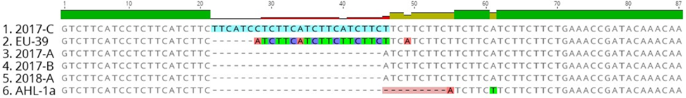 sequence alignment of partial p146 gene