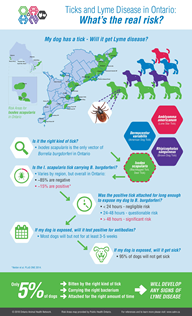 tick and lyme disease infographic