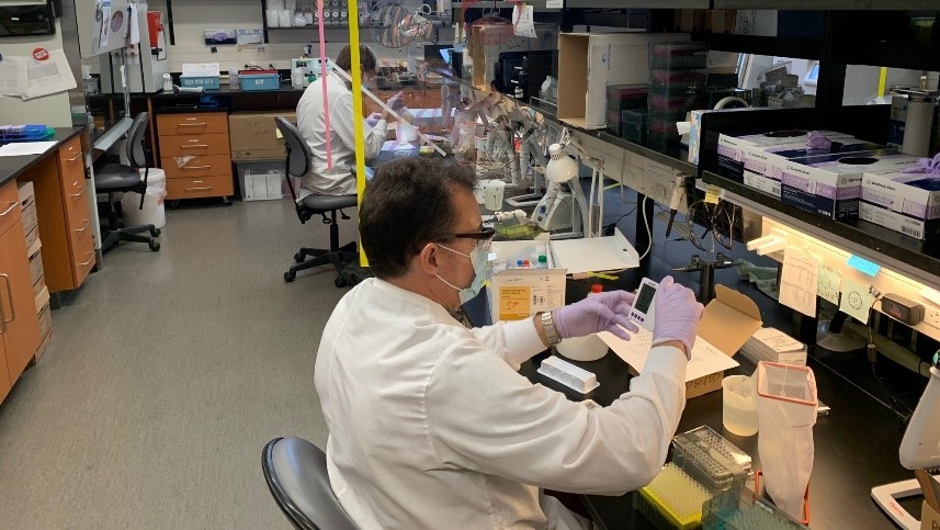 Virology staff performing tests at a bench at the Animal Health Lab