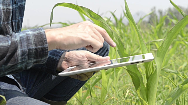 Man using an ipad in a field