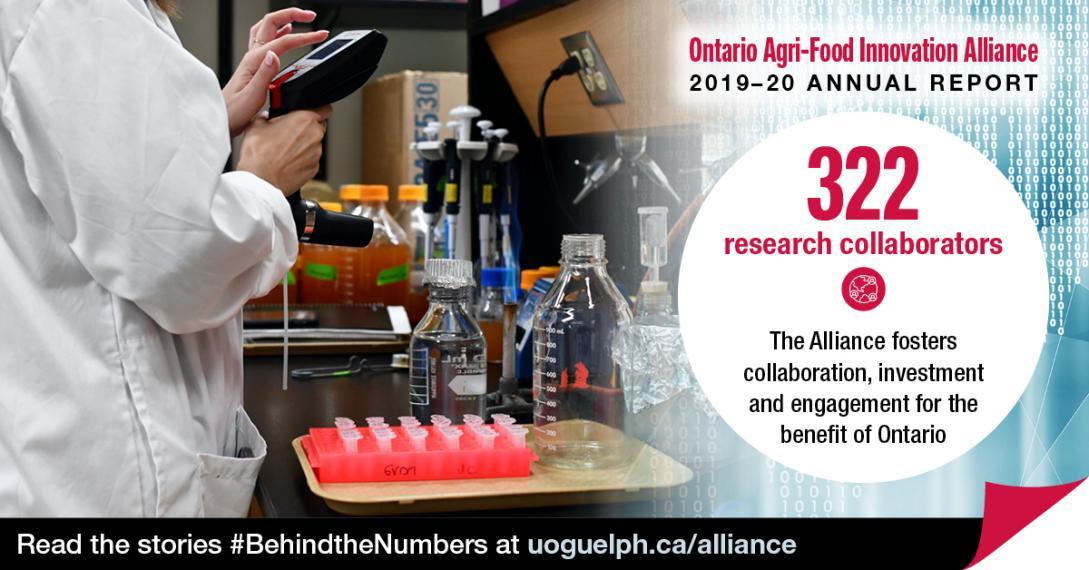 Person in a lab, wearing a lab coat, using a small screen. She has a table of samples in front of her. The accompanying text reads Ontario Agri-Food Innovation Alliance 2019-20 Annual Report. "322 research collaborators: The Alliance fosters collaboration, investment and engagement for the benefit of Ontario." Read the stories #BehindtheNumbers at uoguelph.ca/alliance.