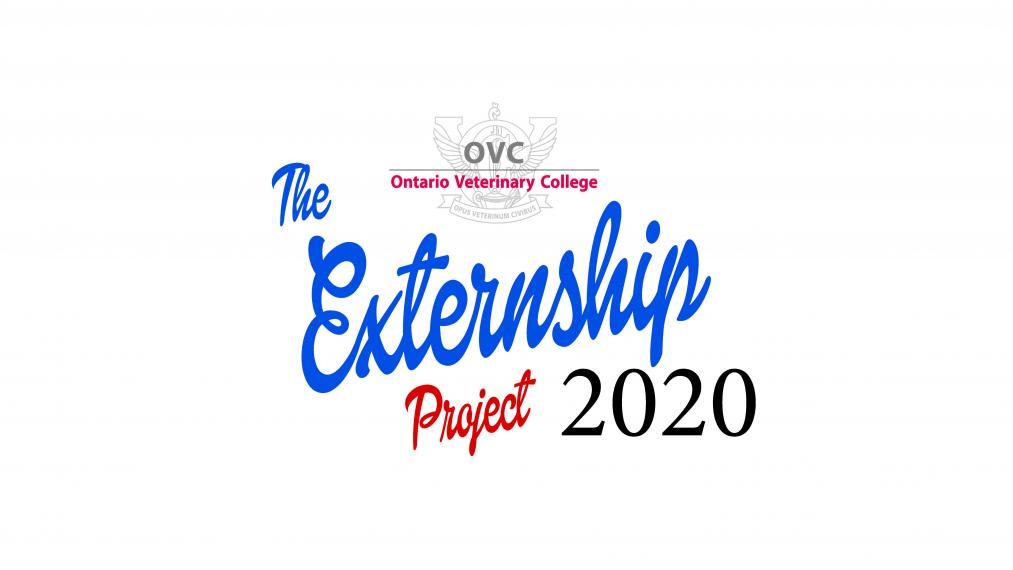 VCP Externship Project 2020 logo