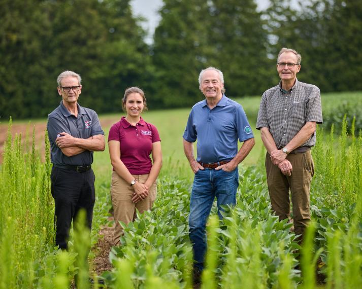 Two researchers and two industry partners stand in a field full of growing plants