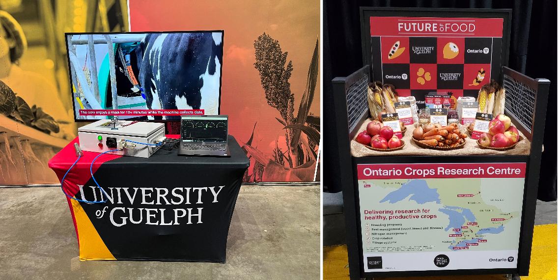 A collage of two photos; one, of a grey box and laptop computer with a "sniffer" to measure greenhouse gas emissions from the breath; the other is a large mesh basket with displays of fresh apples, carrots and corn