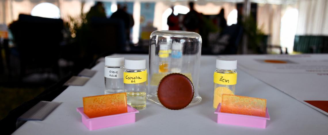 Bio-based materials and ingredients displayed on a table.
