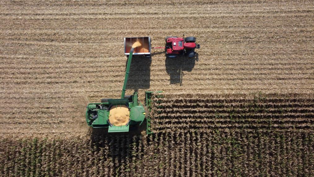 Aerial view of a grain harvester at work