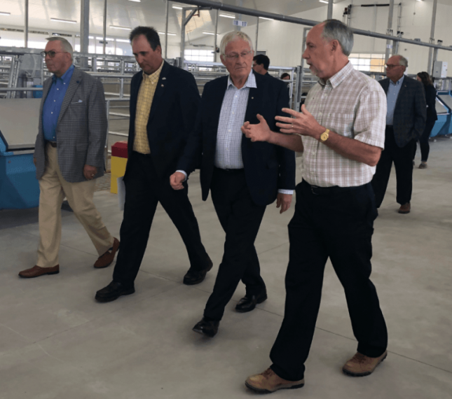 Four men walking down the aisle of the beef research barn. The one on the right is speaking to the other three.