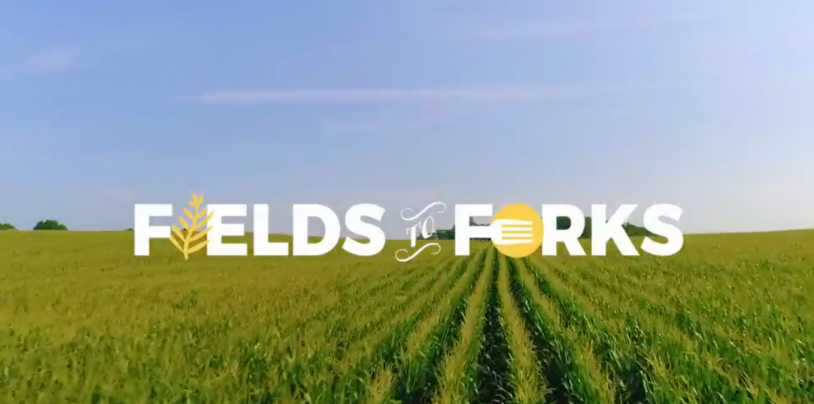 CTV's Fields to Forks wordmark