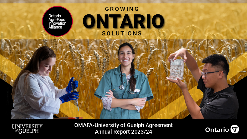 Image representing Growing Ontario Solutions 2023/24 shows a researcher pipetting, one smiling at the camera, and one inspecting a glass jar full of tiny fish.