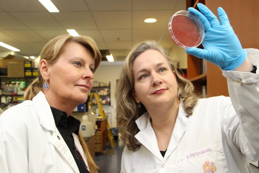 Bonnie Mallard and Lauri Wagter-Lesperance look at a petri dish