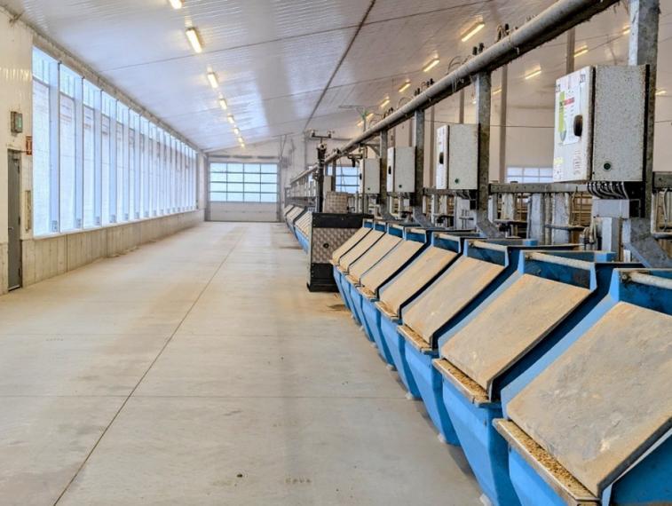 The inside of the modern Ontario Beef Research Centre barn is a wide hall with a line of automated feeding bins down one side