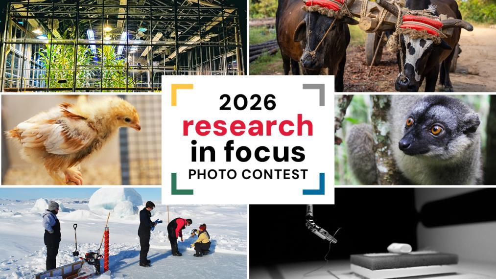 Photo contest promotional graphic