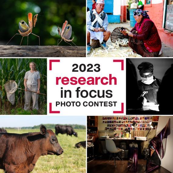 Research in Focus photo contest 2023 campaign collage 
