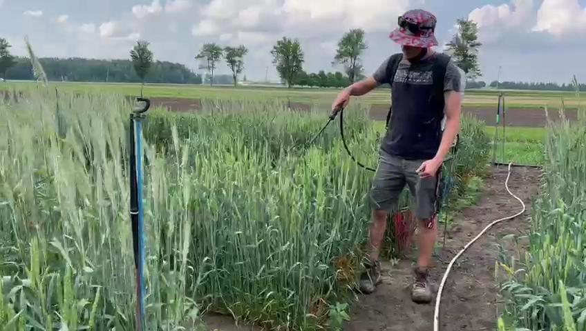 Research student in a field spraying crops.