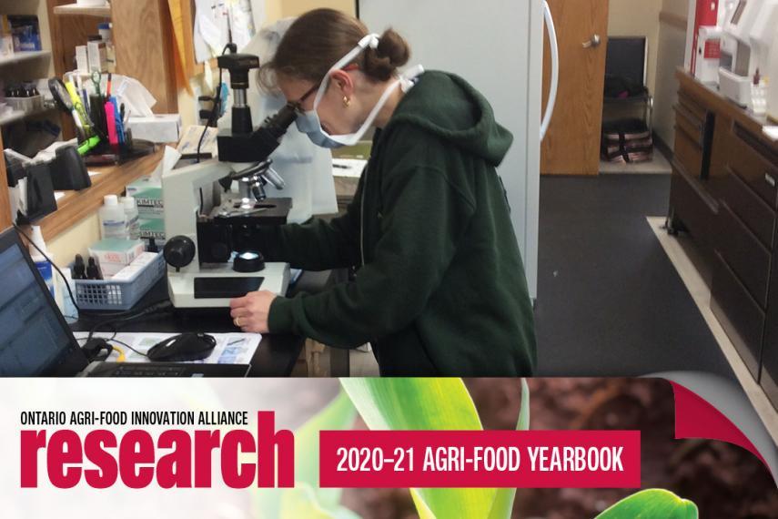 Dr. Marialisa Laurella stands in her clinic while looking through a microscope. An icon banner at the bottom says Ontario Agri-Food Innovation research, 2020-21 agri-food yearbook. 