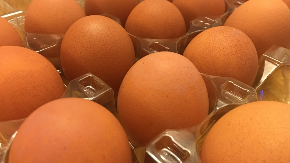 Brown chicken eggs in a plastic egg container