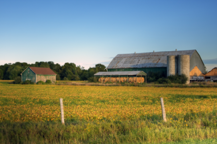 Barn in a farm field