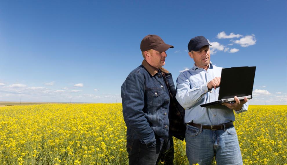 Farmers in a field with a computer