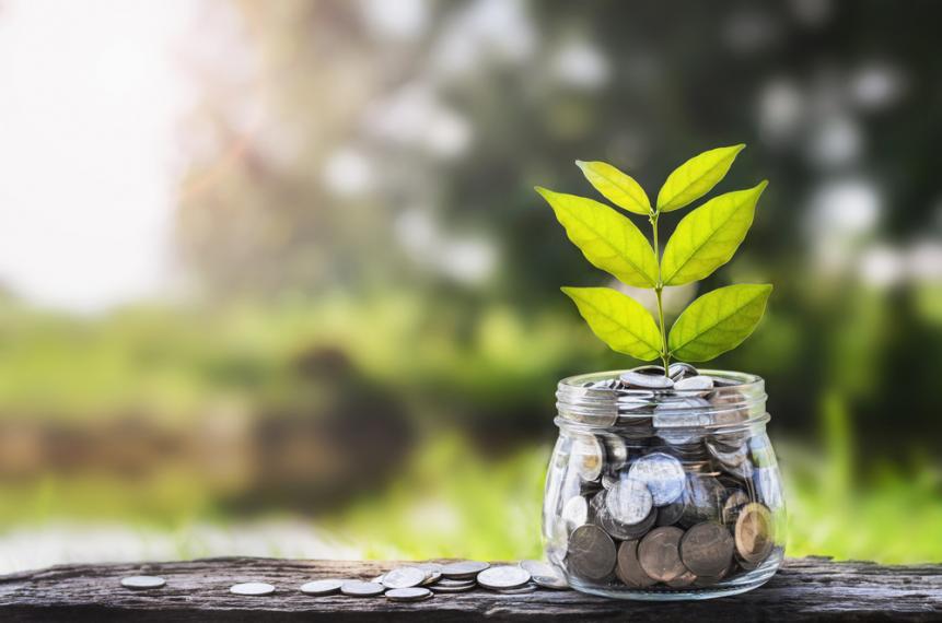 Sprout growing out of a jar of coins