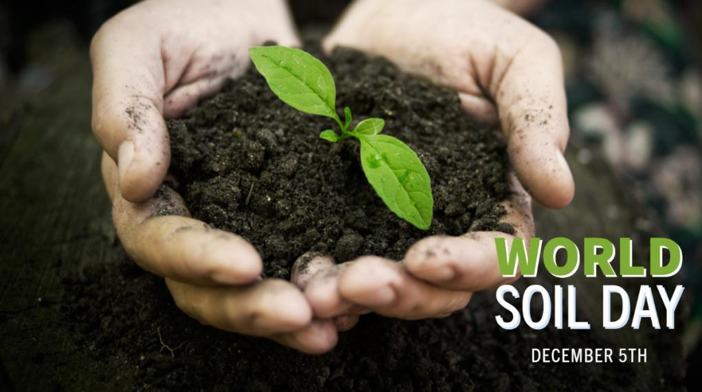 Two hands hold dark brown soil with a seedling sprouting. Text reads "World Soil Day: Dec. 5"