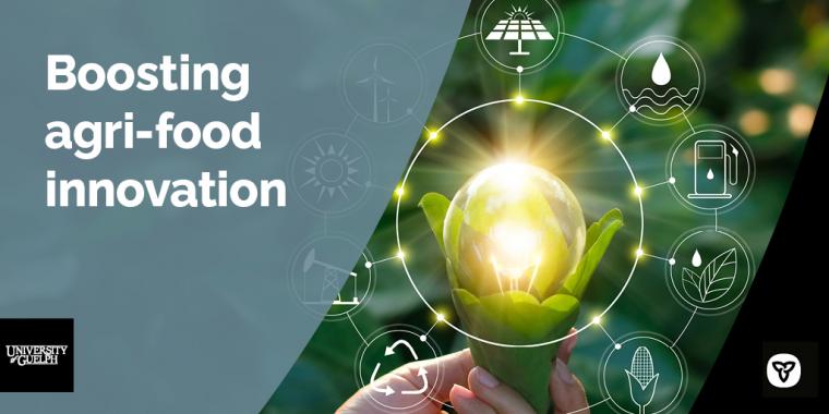 Glowing lightbulb being held in green leaves with icons circling it with text to the left that says Boosting agri-food innovation with the U of G and Ontario logos.