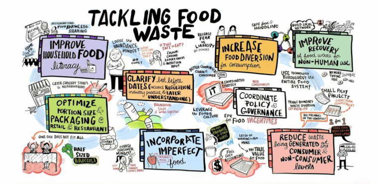 Illustration entitled "Tackling Food Waste" which identifies 8 opportunities outlined below