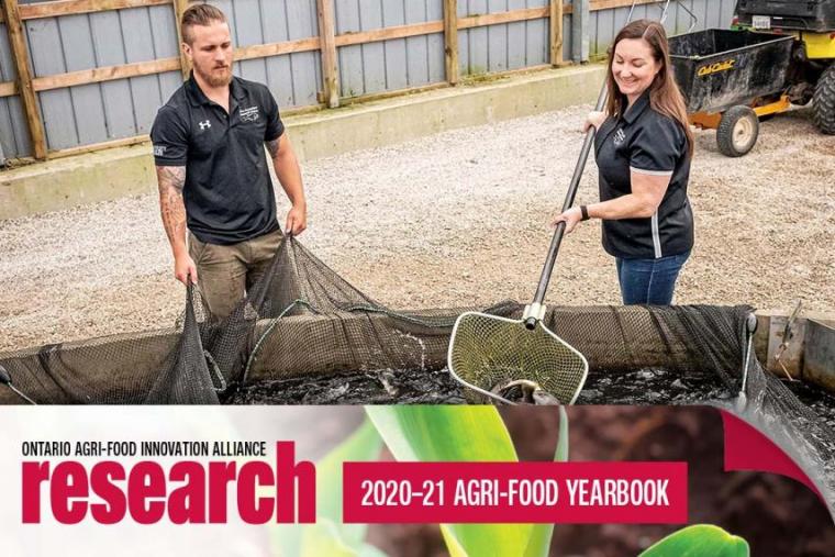 Wes Chase and Dr. Marcia Chiasson standing behind a filled aquaculture tank. Chase is holding a net and Chiasson is holding a fishing net with a pole with multiple fish inside. An icon banner at the bottom that says, Ontario Agri-Food Innovation Alliance Research, 2020-21 Agri-Food Yearbook.