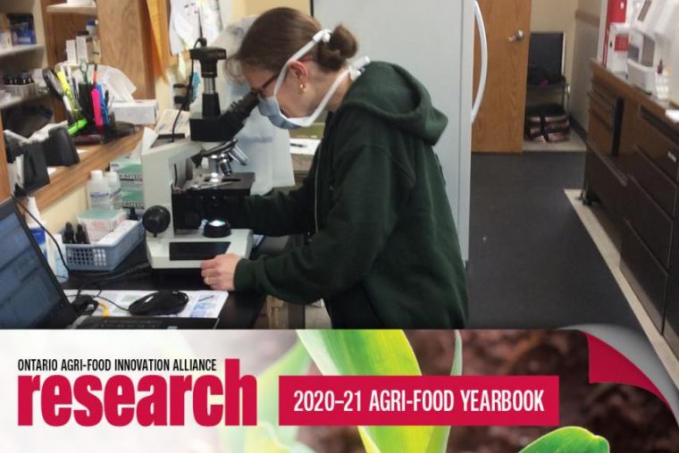 Dr. Marialisa Laurella stands in her clinic while looking through a microscope. An icon banner at the bottom says Ontario Agri-Food Innovation research, 2020-21 agri-food yearbook.
