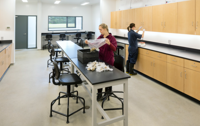 Researchers in the lab at the Ontario Dairy Research Centre