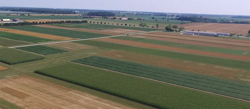 Aerial image of field crops