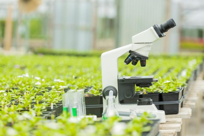 Microscope on a table with crops