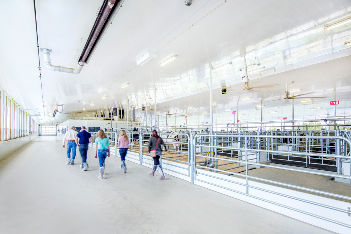 Group of 4 people touring through a dairy barn