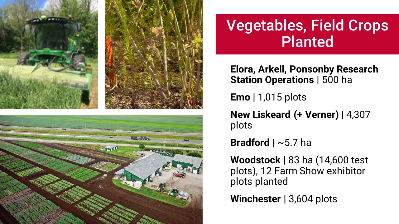 Vegetables/field crops planted; Elora, Arkell, Ponsonby Rsearch Station Operatons: 500 ha; Emo: 1,015 plots; New Liskeard + Verner: 4,307 plots; Bradford: 5.7 ha; Woodstock: 83 ha (14,600 test plots), 12 Farm Show exhibitor plots planted; Winchester: 3,604 plots