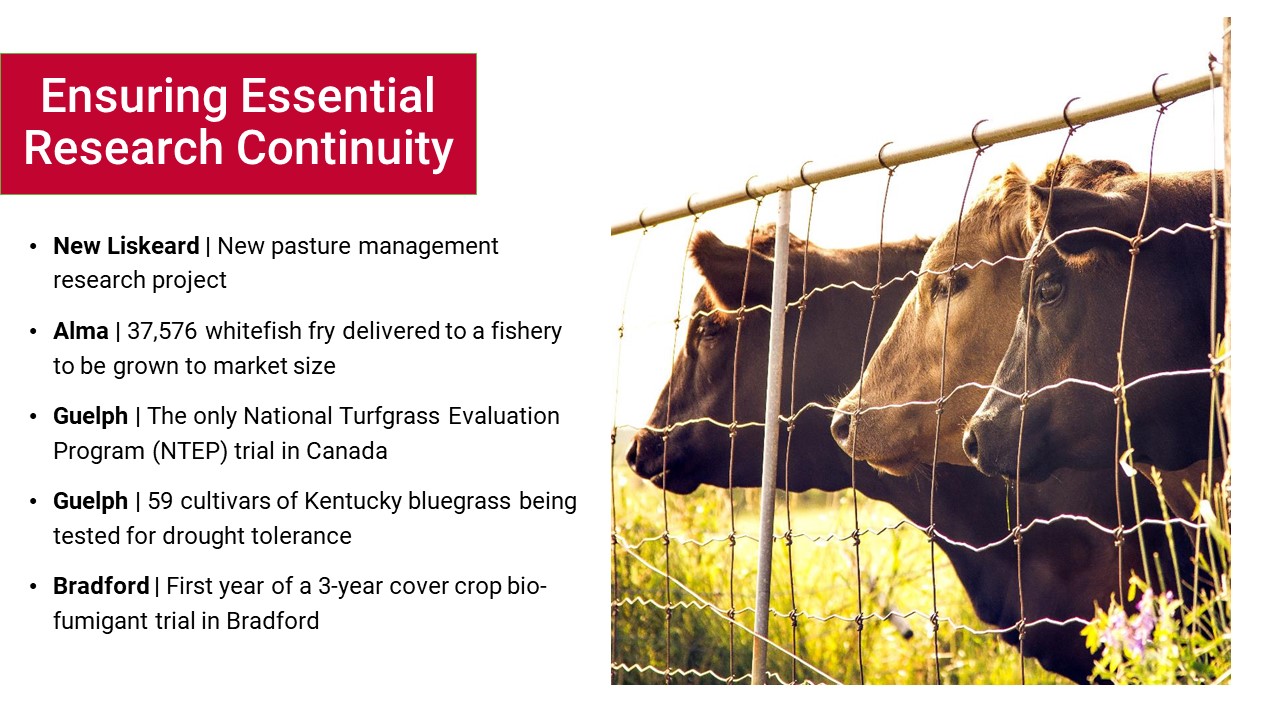  New Liskeard | New pasture management research project Alma | 37,576 whitefish fry delivered to a fishery to be grown to market size Guelph | The only National Turfgrass Evaluation Program (NTEP) trial in Canada Guelph | 59 cultivars of Kentucky bluegrass being tested for drought tolerance Bradford | First year of a 3-year cover crop bio-fumigant trial in Bradford