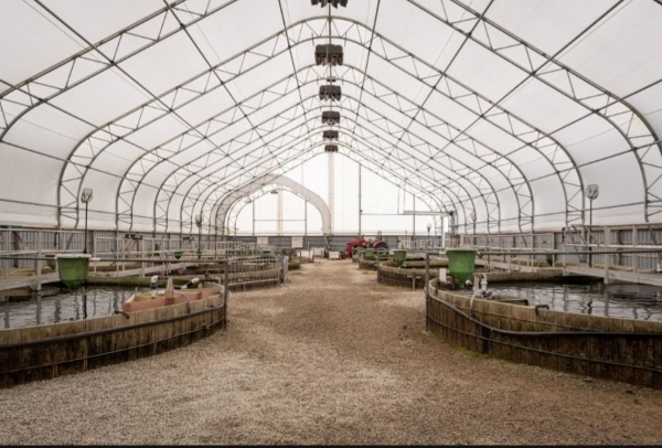 Interior of the research centre "greenhouse", an large open airy space with a vaulted ceiling and two rows of three outdoor tanks