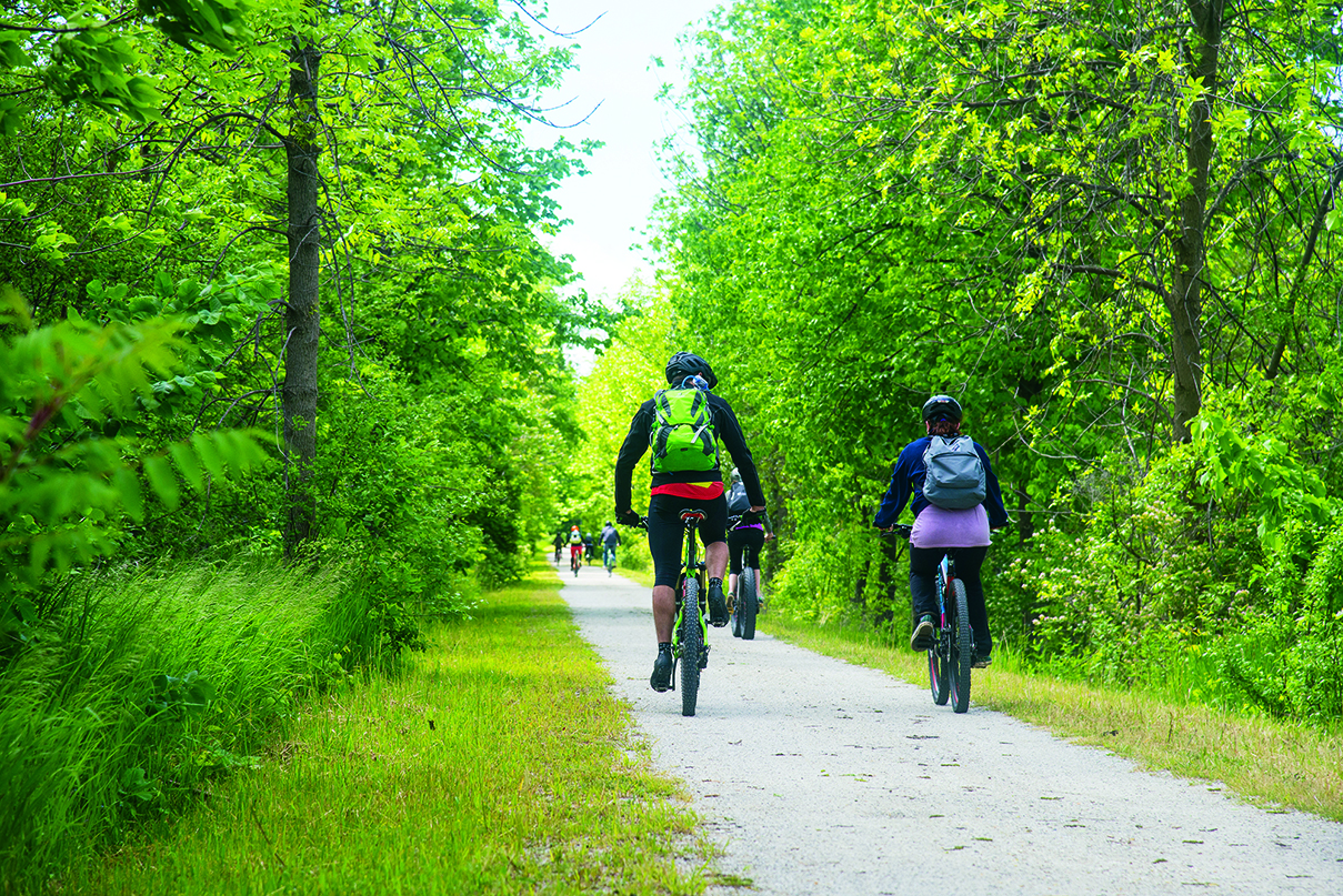 Cyclists on a path through the trees