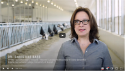 Screen shot of Dr. Christine Baes speaking to the camera in the dairy barn