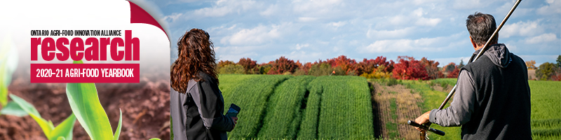 Two farmers looking out into their green fields with their backs towards the camera with an icon banner on the left side that says Ontario Agri-Food Innovation Alliance Research 2020-21 Agri-Food Yearbook.
