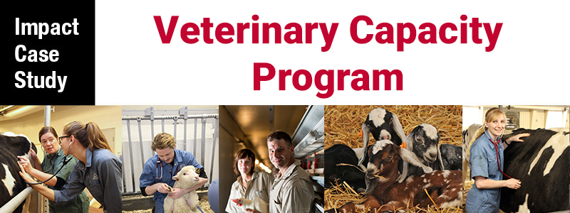 A collage of photos of veterinary students caring for dairy cows, sheep, chickens and a group of goats with the text Impact Case Study Veterinary Capacity Program across the top.