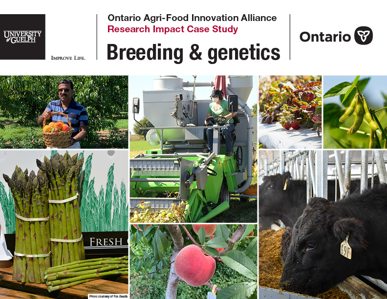 Cover of the Ontario Agri-Food Innovation Alliance Research Impact Case Study: Breeding and Genetics