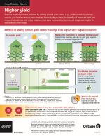 Higher yield infographic thumbnail
