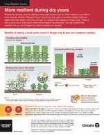 More resilient during dry years thumbnail