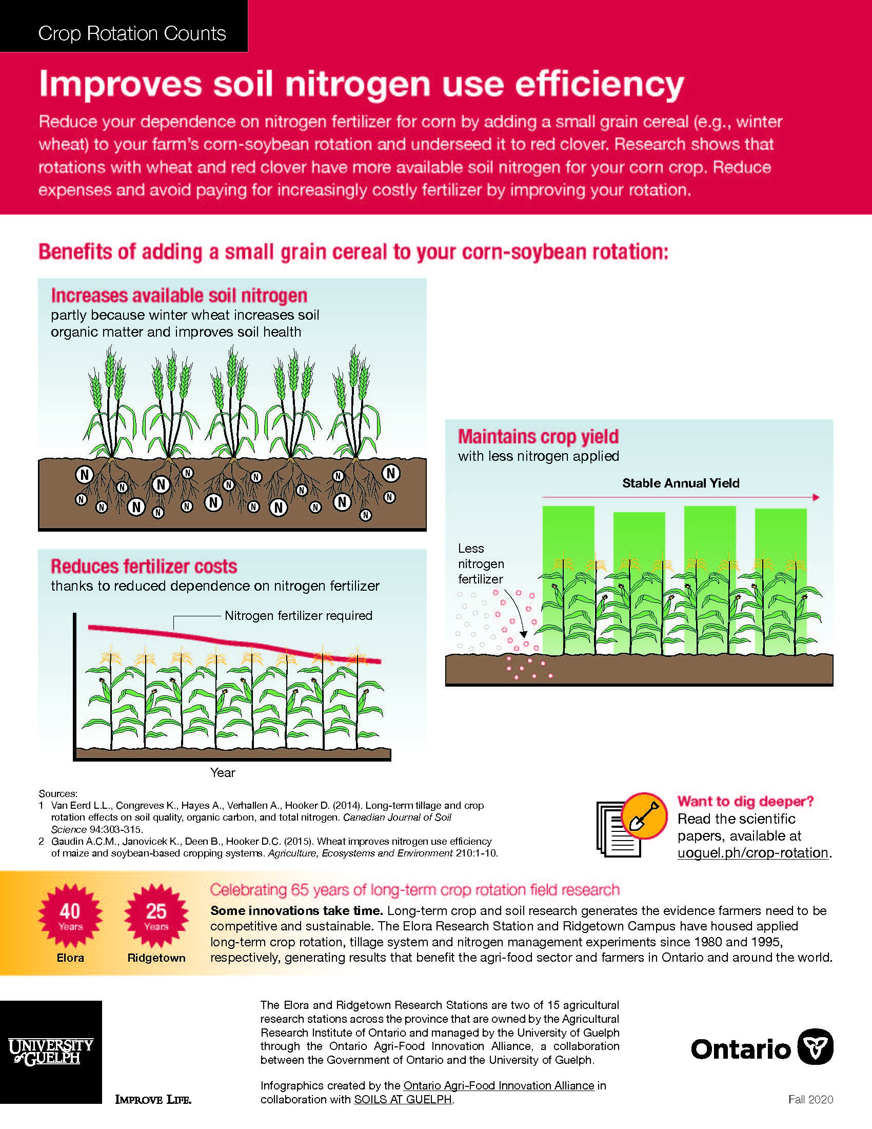 CROP ROTATION COUNTS: IMPROVES SOIL NITROGEN USE EFFICIENCY infographic. Text version follows.