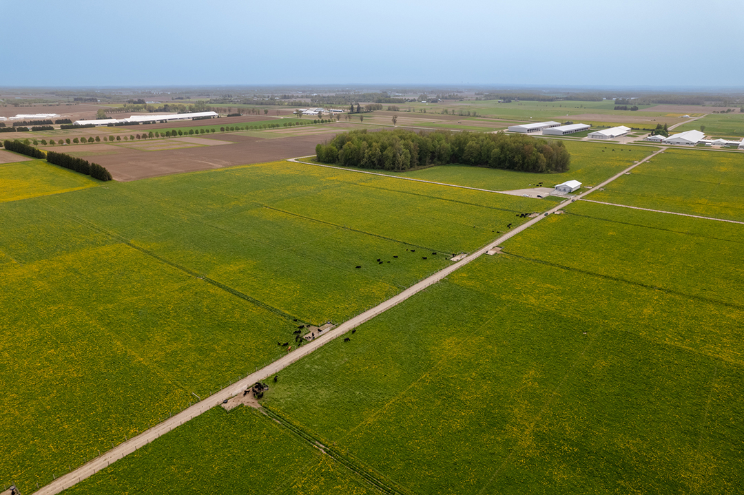 Aerial image of the pastures at the Ontario Beef Research Centre