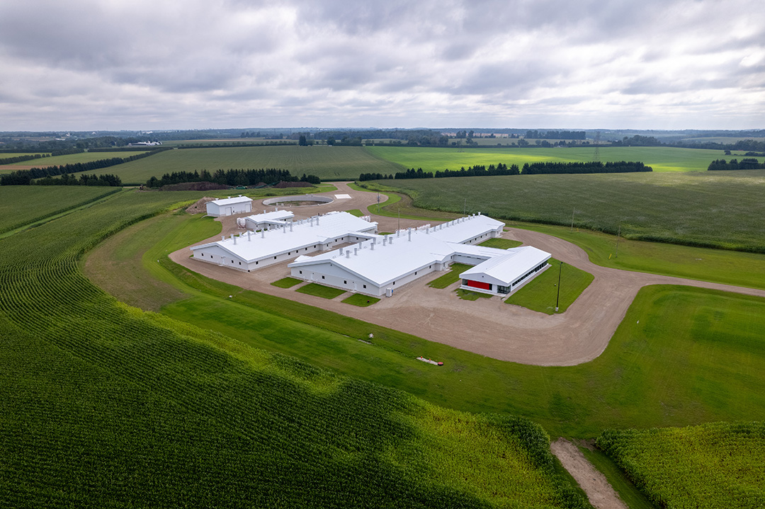 Aerial photo shows 3 barns; one long barn in the middle with two shorter barns flanking it to create a cross shape